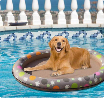 Pet Swimming Pool